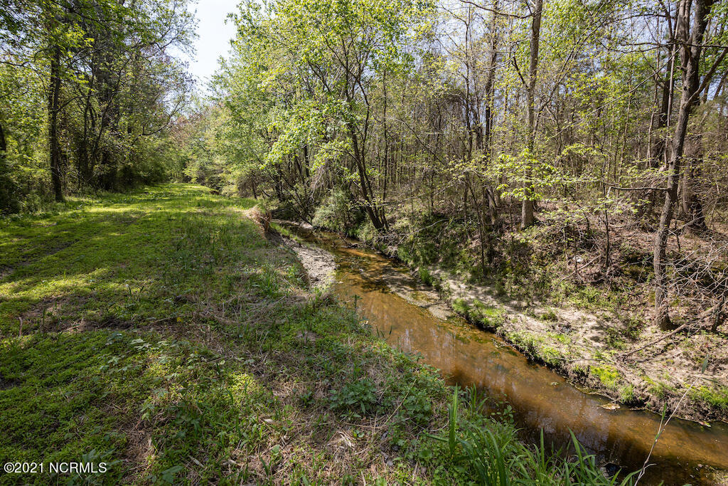 732 Campground Road Selma, NC 27576 - Photo 8 of 25 8