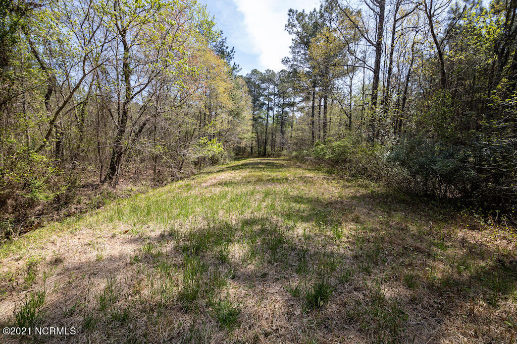 732 Campground Road Selma, NC 27576 - Photo 10 of 25 10