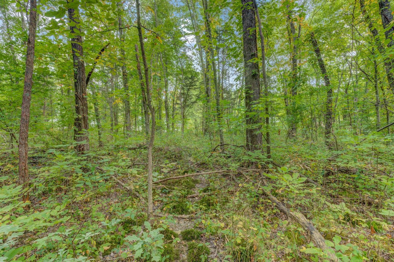 A Locust Lake Road Amelia, OH 45102 - Photo 24 of 45 Gallery Image 24