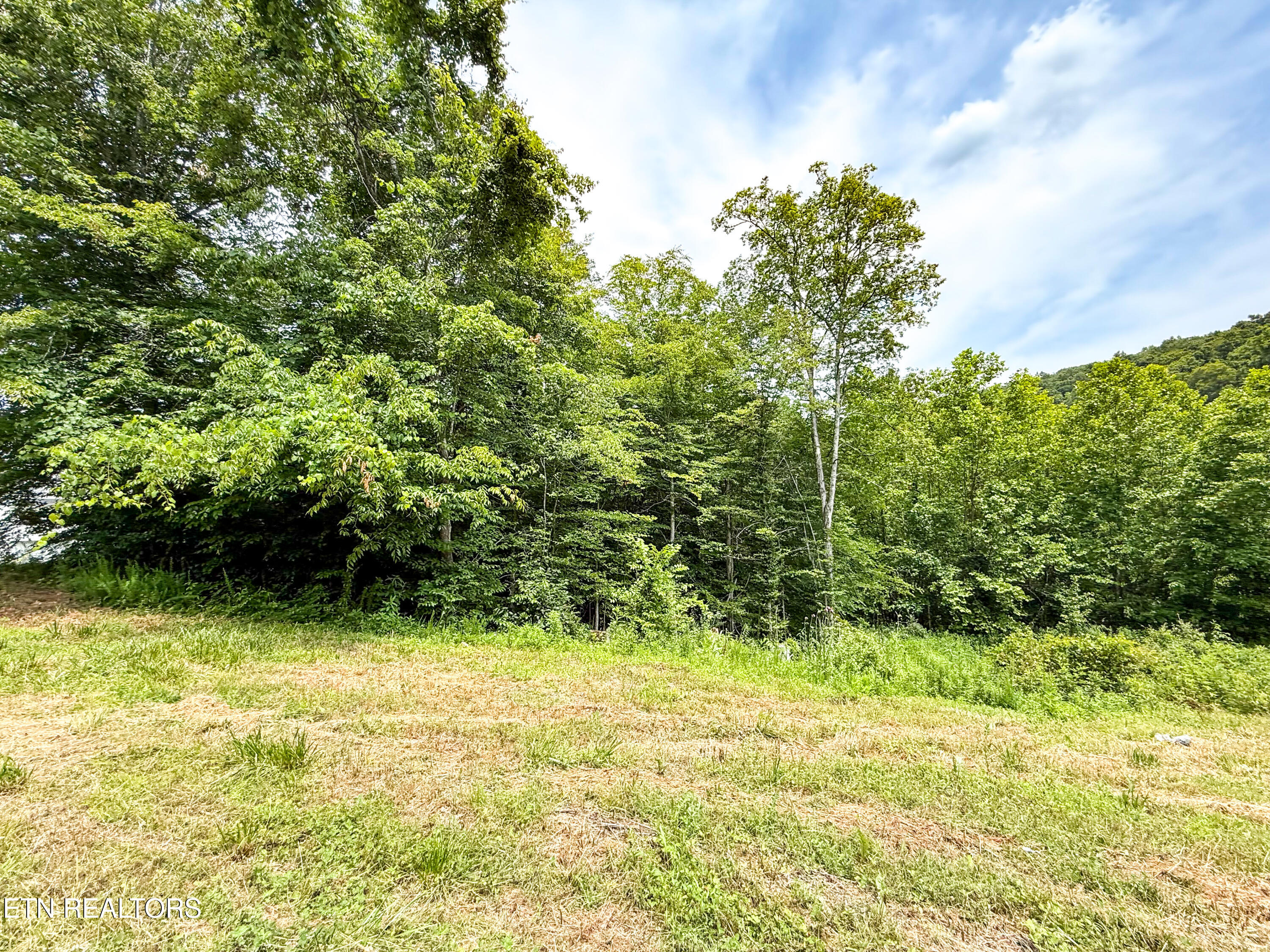 117 Cherry Oak Drive Oak Ridge, TN 37830 - Photo 2 of 6 IMG_3690