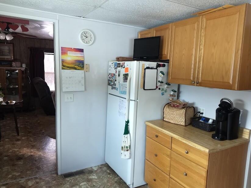 5591 Edgar Road Edmore, MI 48829 - Photo 3 of 19 Kitchen.Fridge