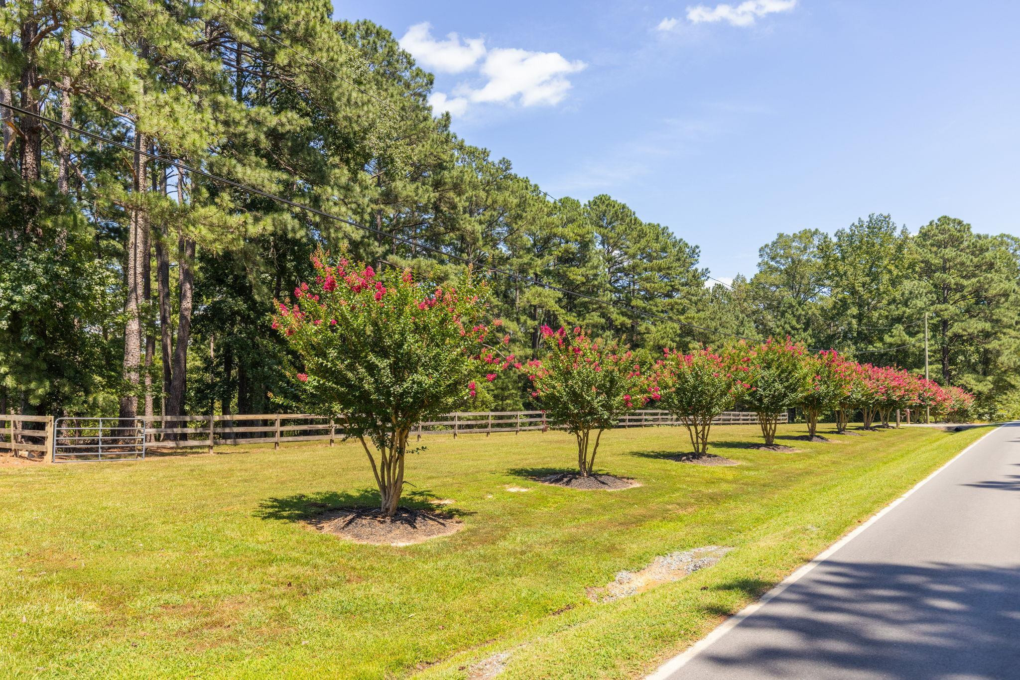 214 Tody Goodwin Road Apex, NC 27502 - Photo 3 of 12 Photo 53