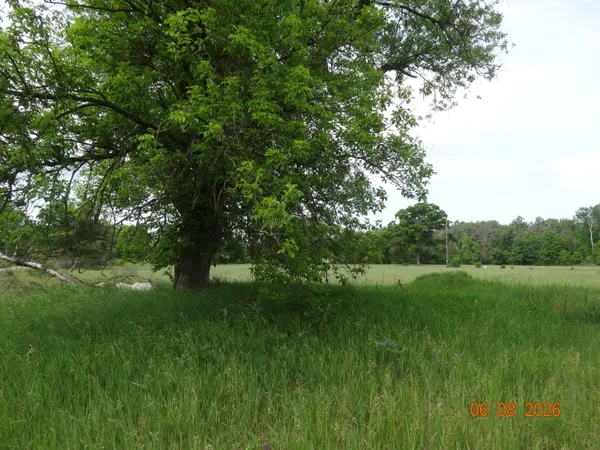 $86,000 | 550 South Oak Avenue, White Cloud, MI 49349
