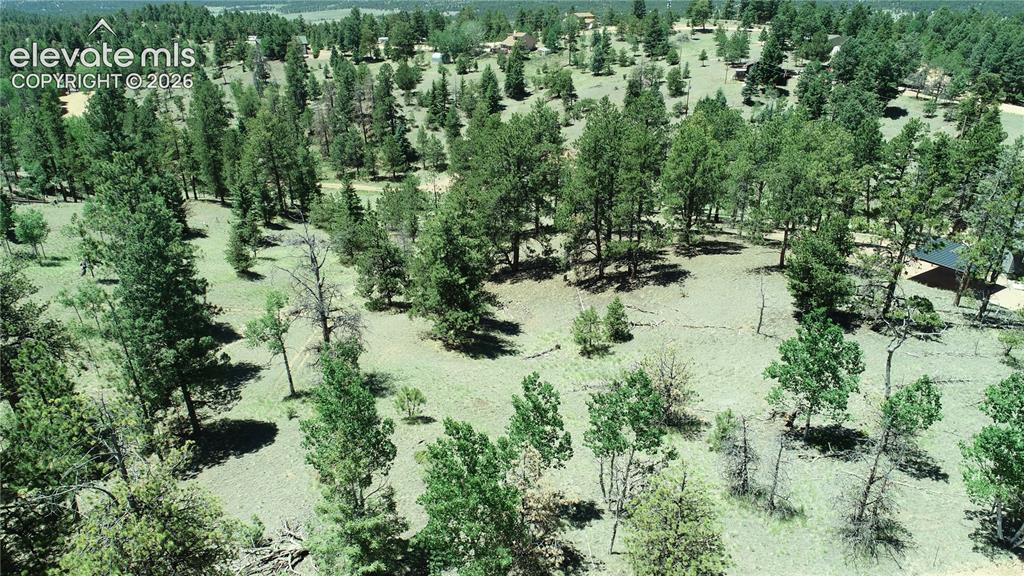 1366 North Mountain Estates Road Florissant, CO 80816 - Photo 5 of 16