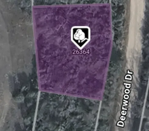 a view of a garden with a pathway