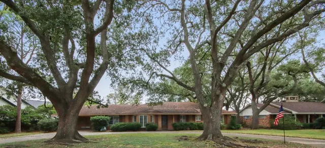 a tree in front of a white house