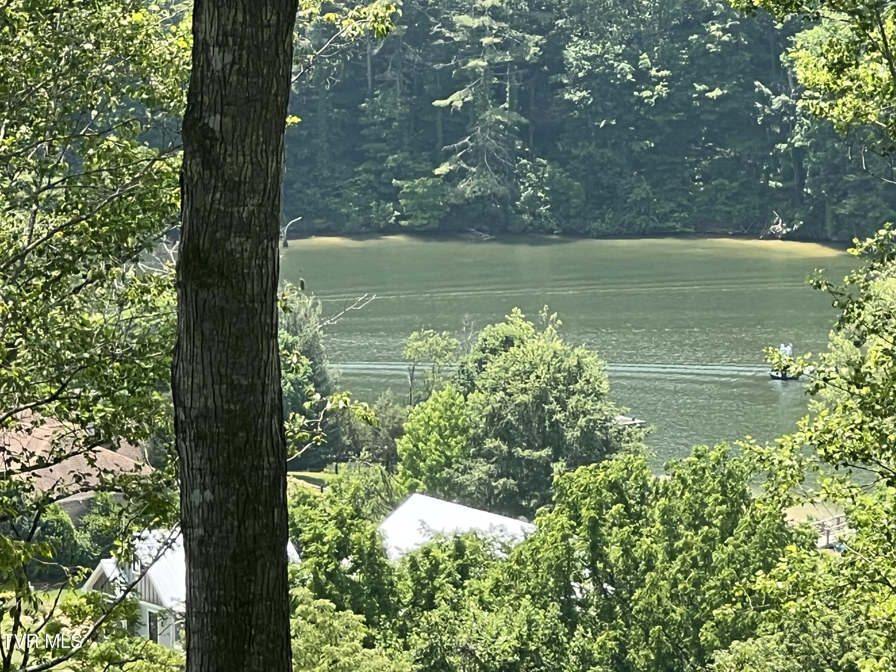 Lot 2 High Country Pvt Road, Unit 2 Butler, TN 37640 - Photo 30 of 32 Watuga lake land 1b (1)