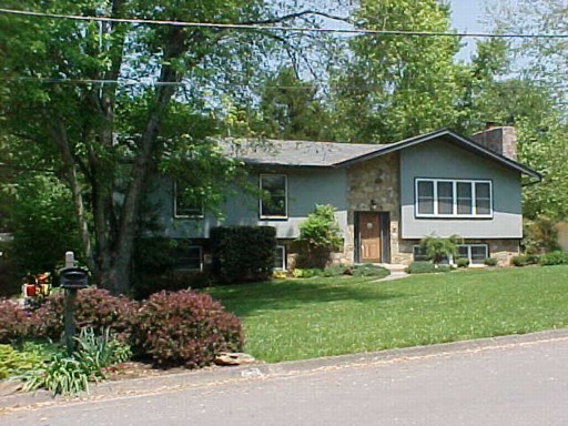 Primary Photo