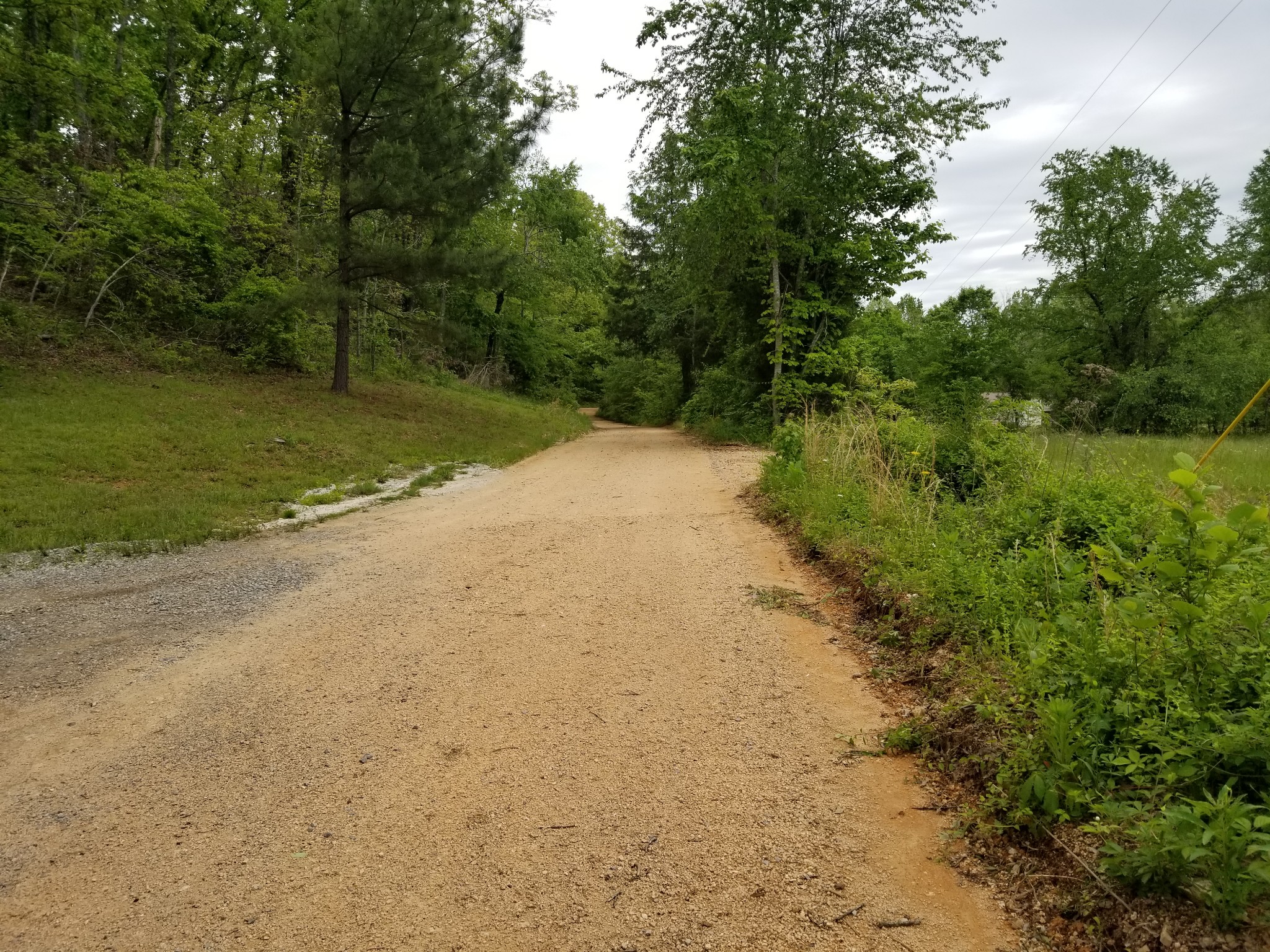 200 Houston Road Centerville, TN 37033 - Photo 14 of 28 Gallery Image 14