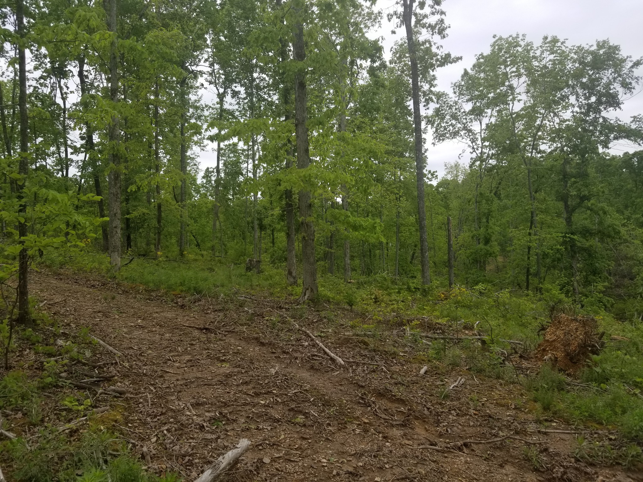 200 Houston Road Centerville, TN 37033 - Photo 15 of 28 Gallery Image 15