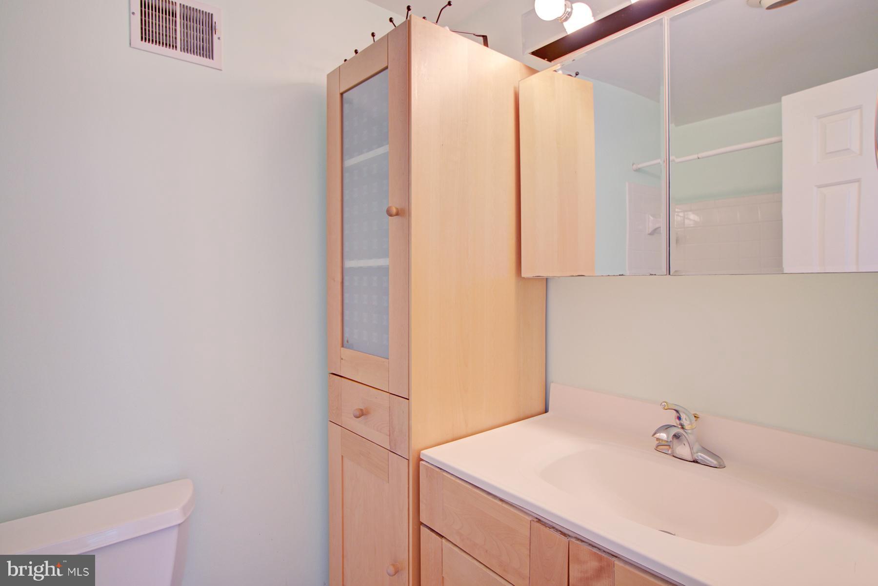 331 Crescendo Way Silver Spring, MD 20901 - Photo 16 of 22 Bath (Master)