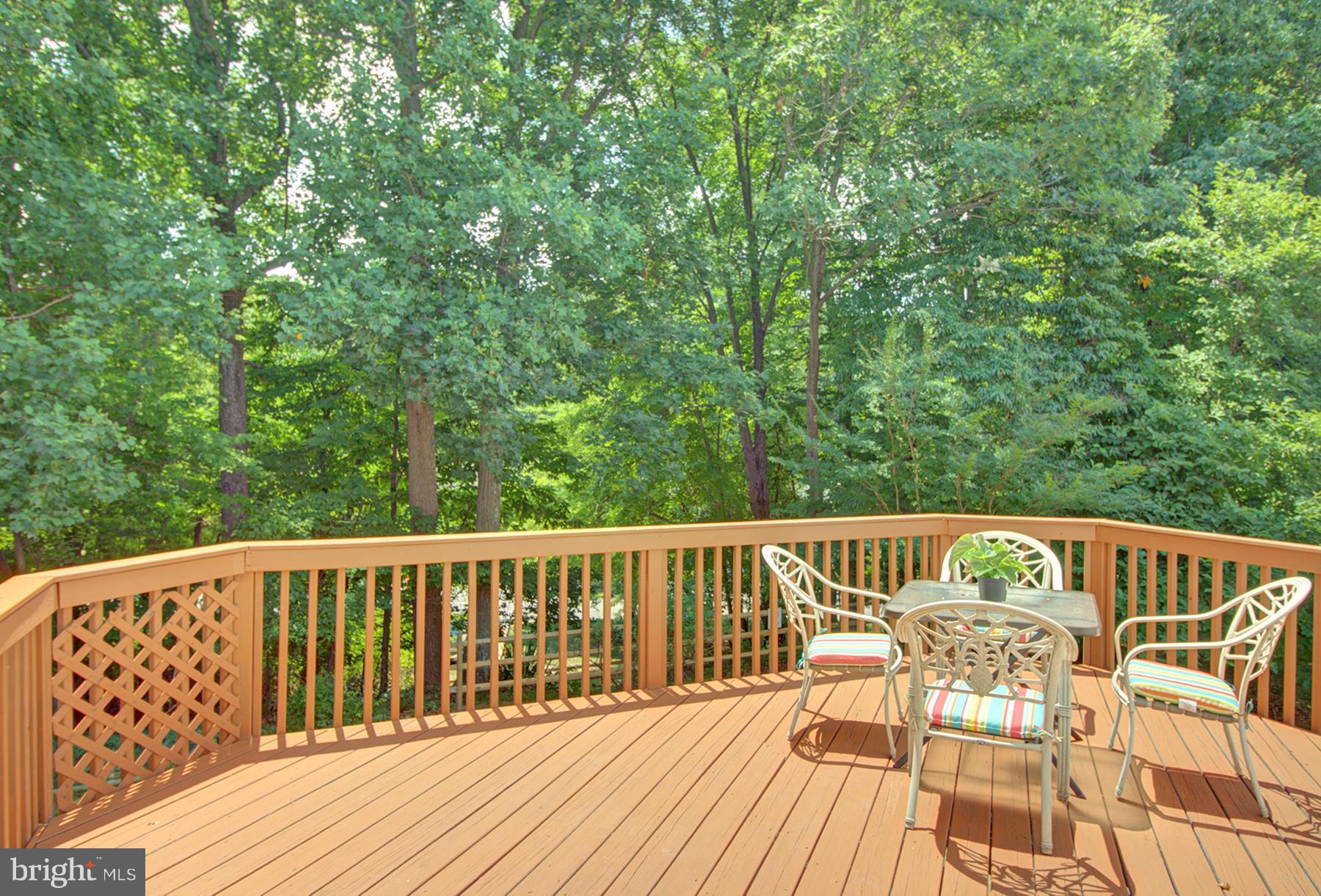 331 Crescendo Way Silver Spring, MD 20901 - Photo 8 of 22 Exterior (General)