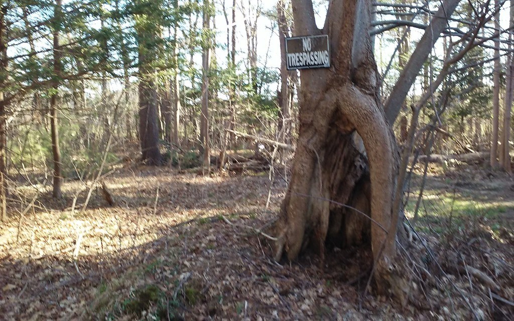 439 Bay Road Easton, MA 02375 - Photo 3 of 6 Gallery Image 3
