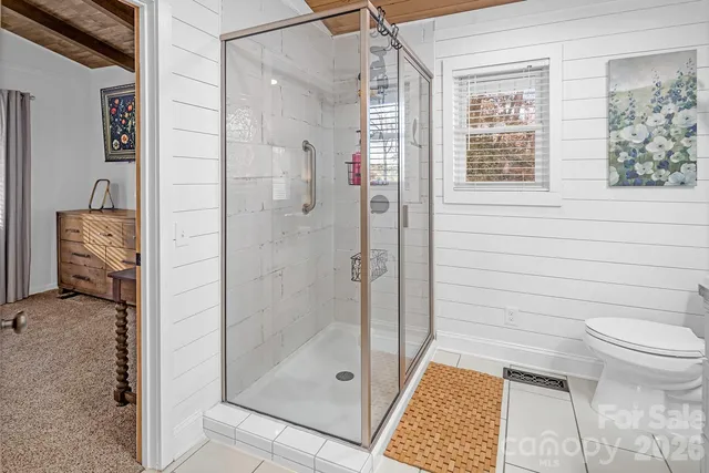 a bathroom with a shower and a toilet