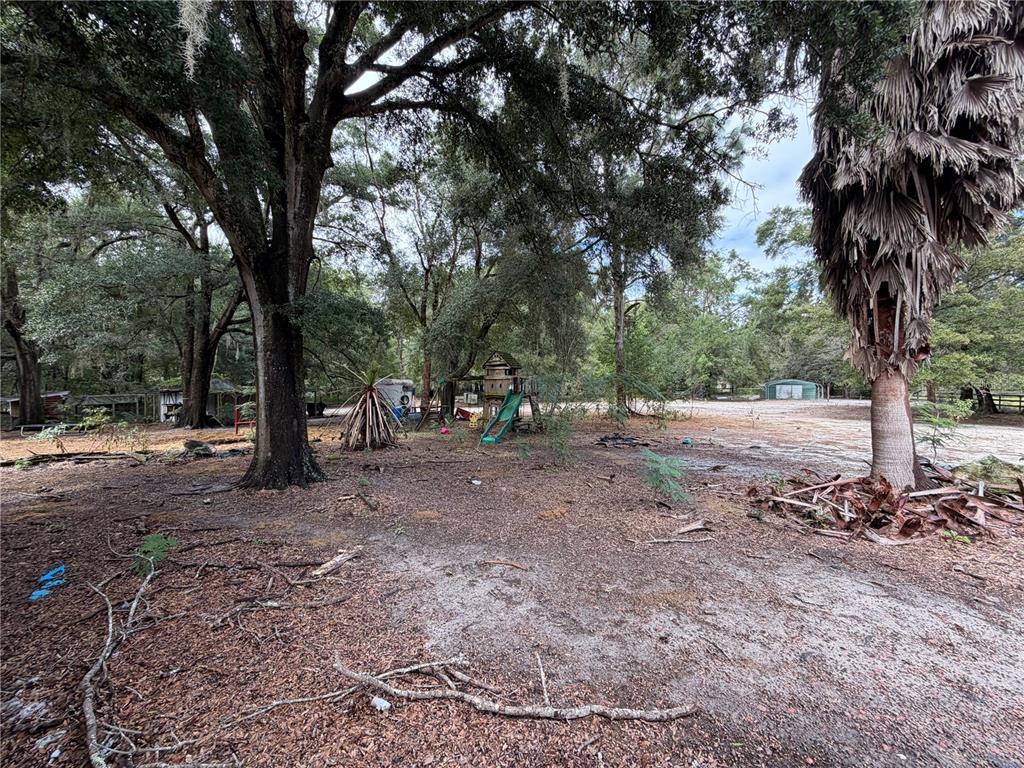 9 Hialeah Drive Ocala, FL 34482 - Photo 41 of 41 a view of a forest with trees