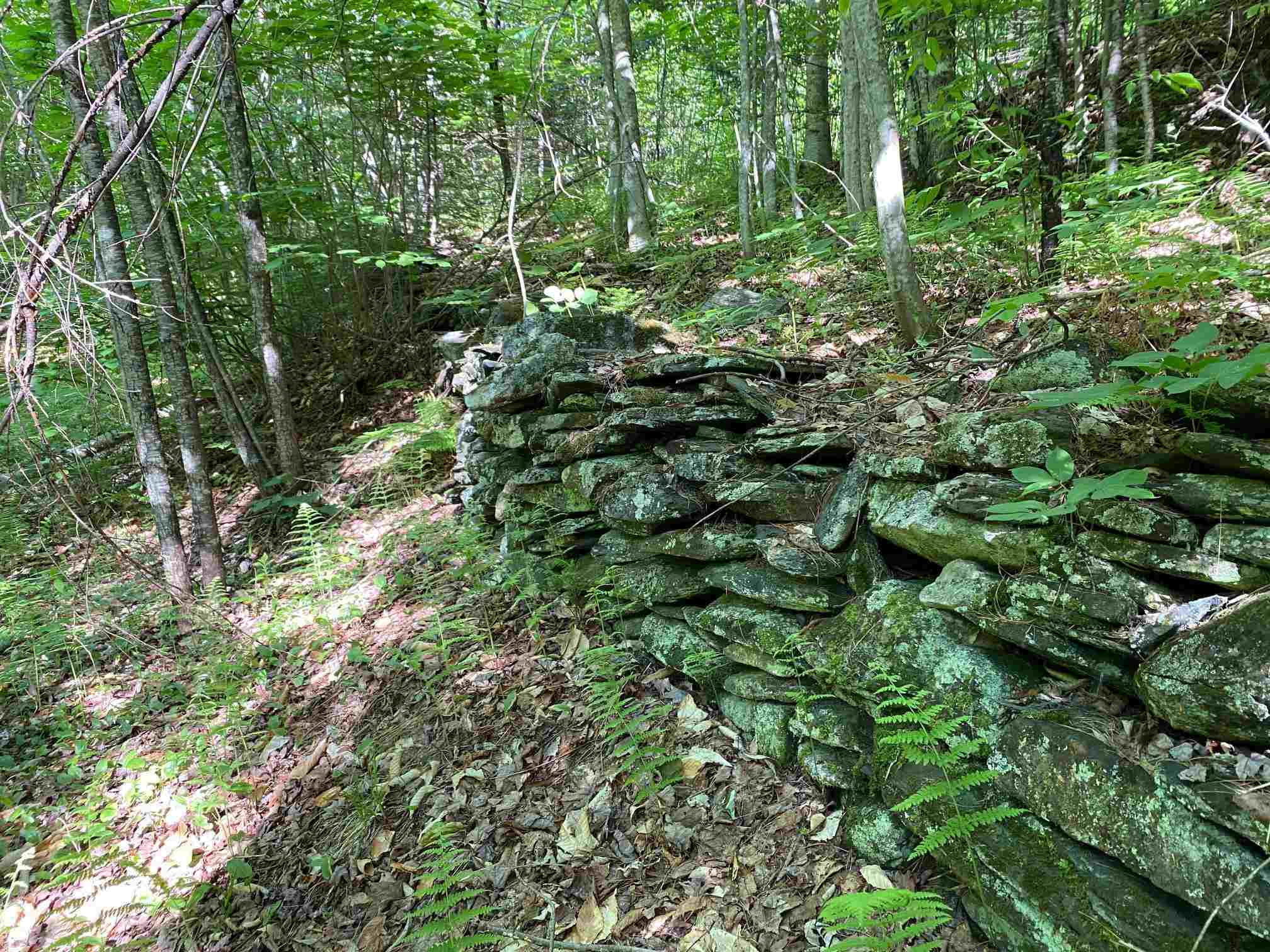 1201 Calais Road Marshfield, VT 05658 - Photo 3 of 15