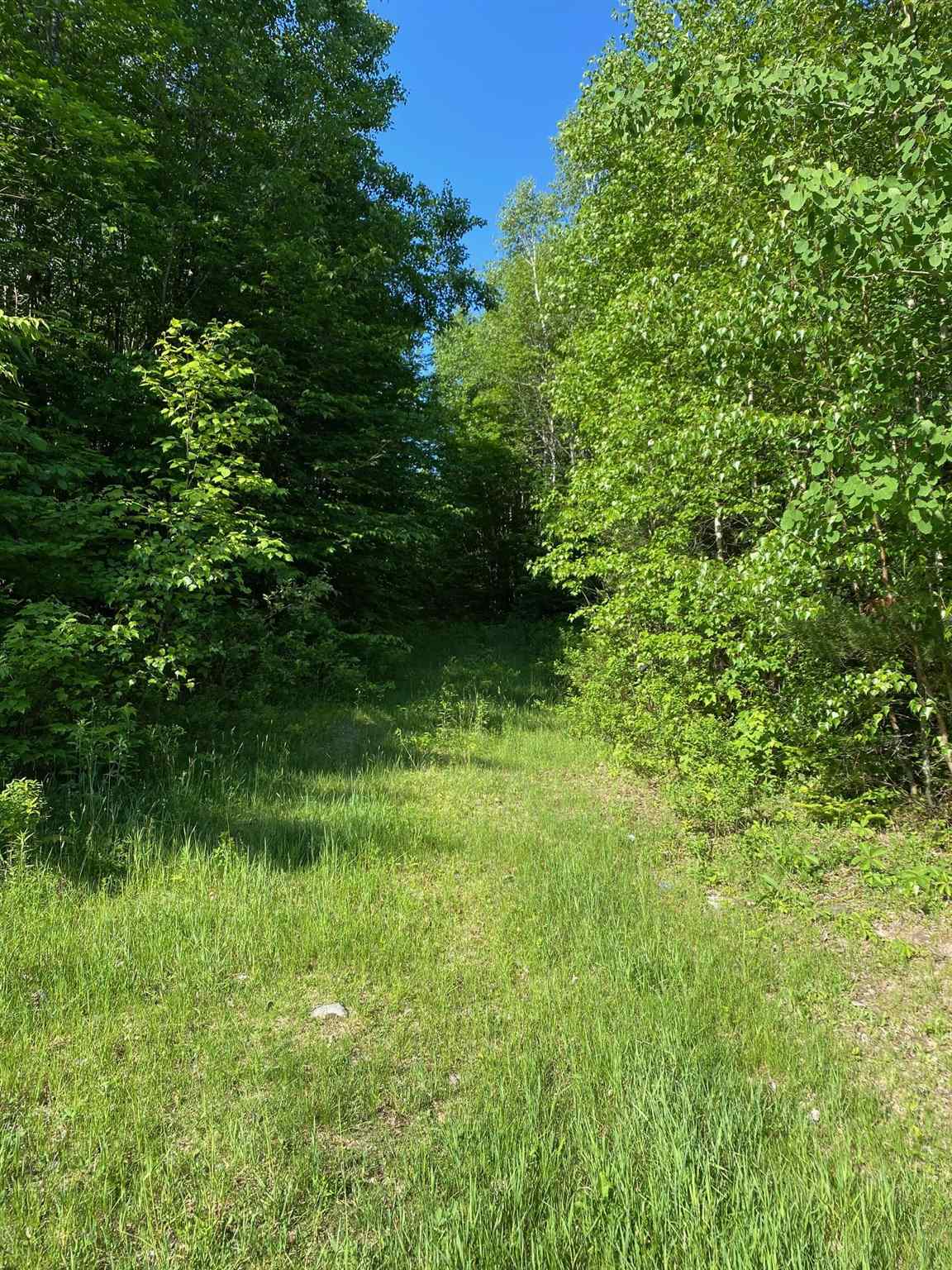 1201 Calais Road Marshfield, VT 05658 - Photo 8 of 15