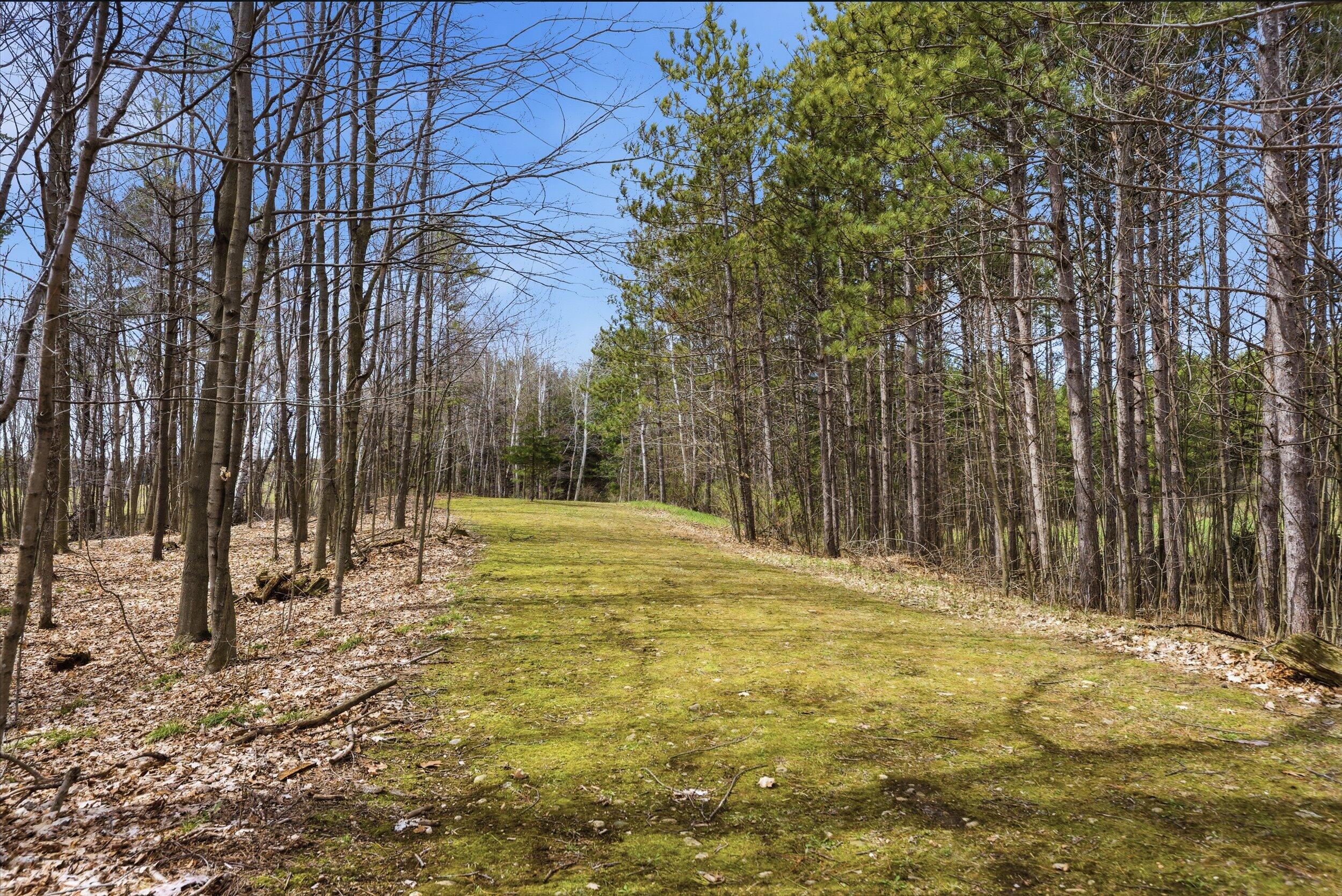 9020 Marken Road Liberty, WI 54245 - Photo 70 of 77 Wide Trail