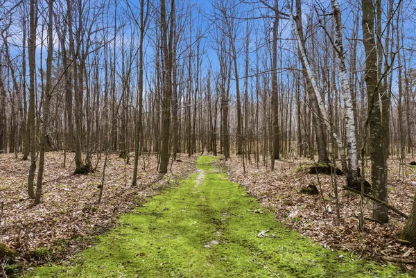 $950,000 | 9020 Marken Road, Liberty, WI 54245
