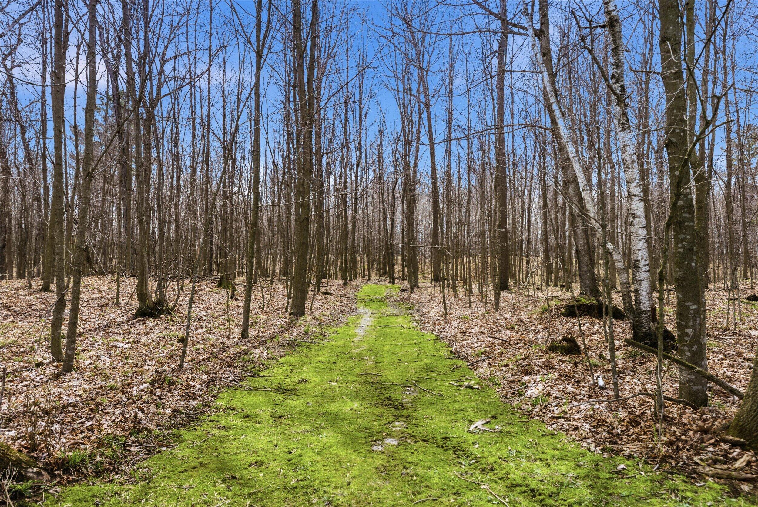 9020 Marken Road Liberty, WI 54245 - Photo 71 of 77 Trail