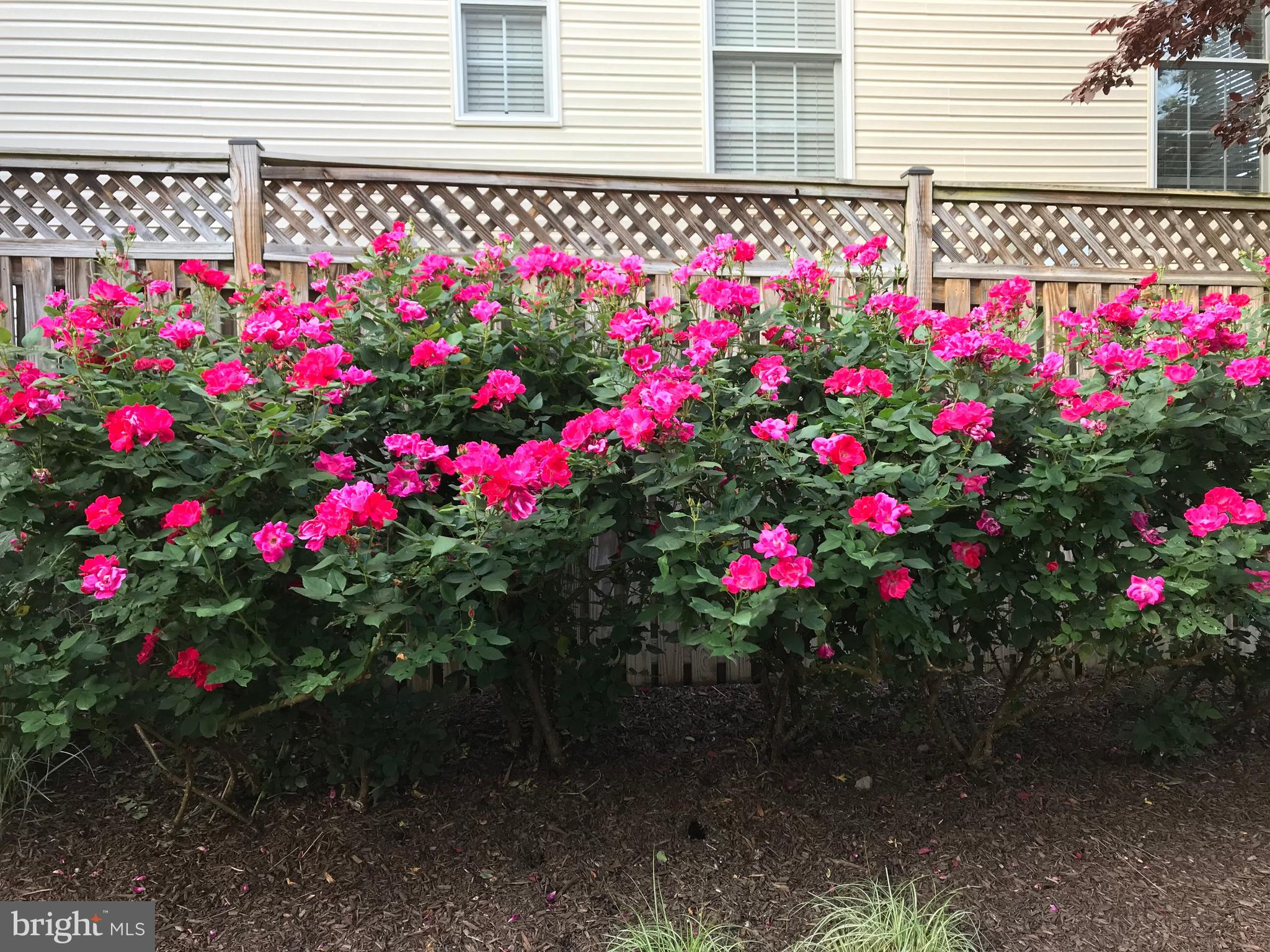 8320 Wolftrap Road Vienna, VA 22182 - Photo 35 of 35