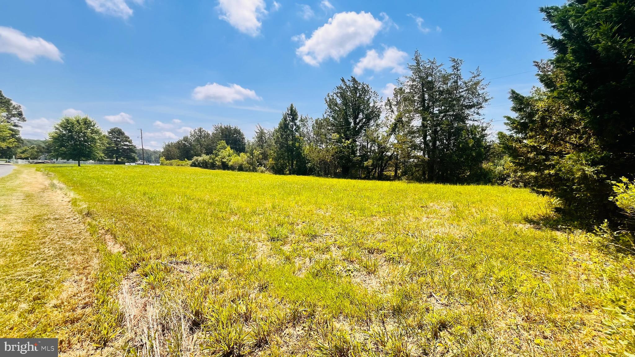 1609 Heliport Road Woolford, MD 21677 - Photo 23 of 43