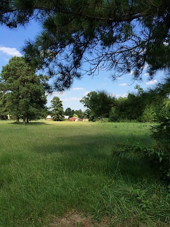 0 Rudolph Road Tomball, TX 77375 - Photo 3 of 4 Gallery Image 3