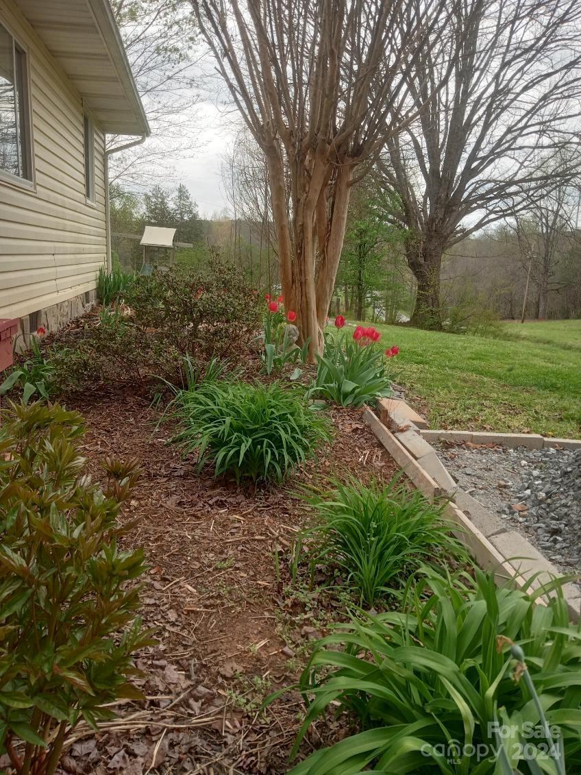 1529 Tatertown Loop Nebo, NC 28761 - Photo 33 of 38 a view of a backyard with large trees