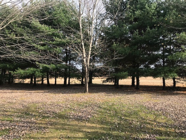 8605 Avon Belden Road North Ridgeville, OH 44039 - Photo 3 of 26