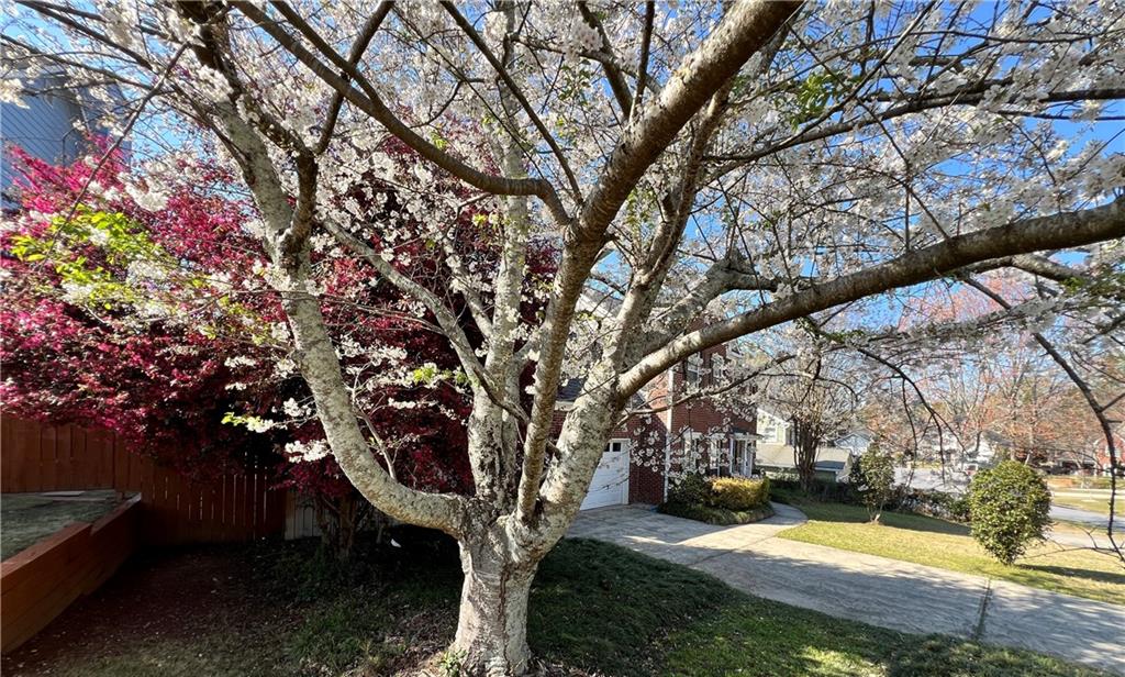 5415 Taylor Road Alpharetta, GA 30022 - Photo 20 of 29 a view of yard with swimming pool and sitting area