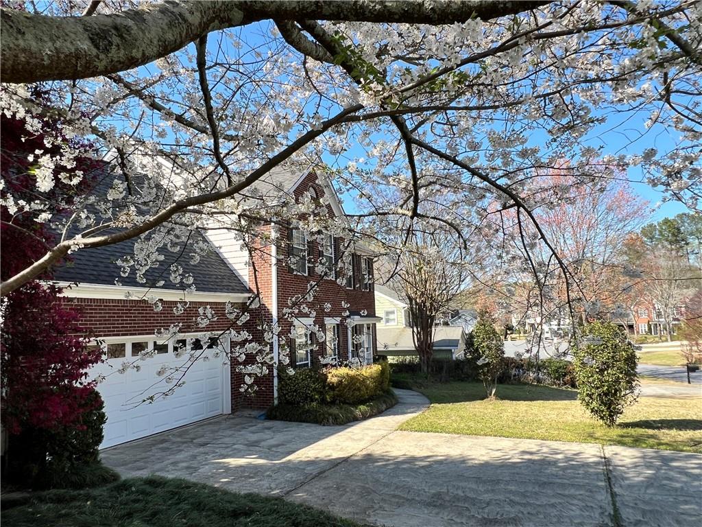 5415 Taylor Road Alpharetta, GA 30022 - Photo 23 of 29 a view of yard with tree in front of it
