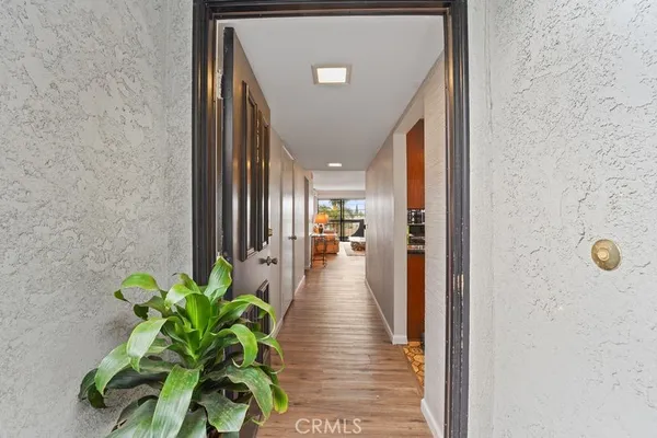 a hallway with wooden floor and a potted plant