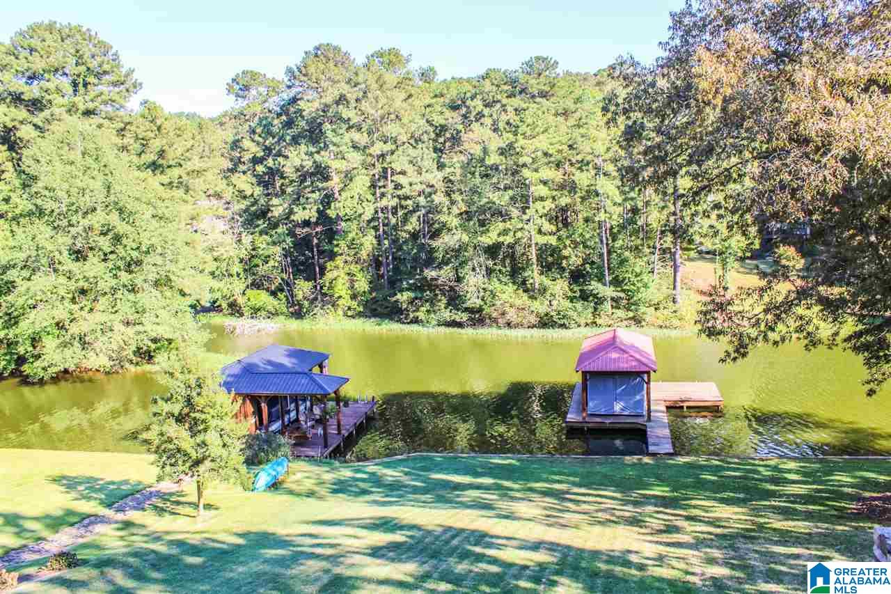 564 Lakeview Circle Alpine, AL 35014 - Photo 40 of 50