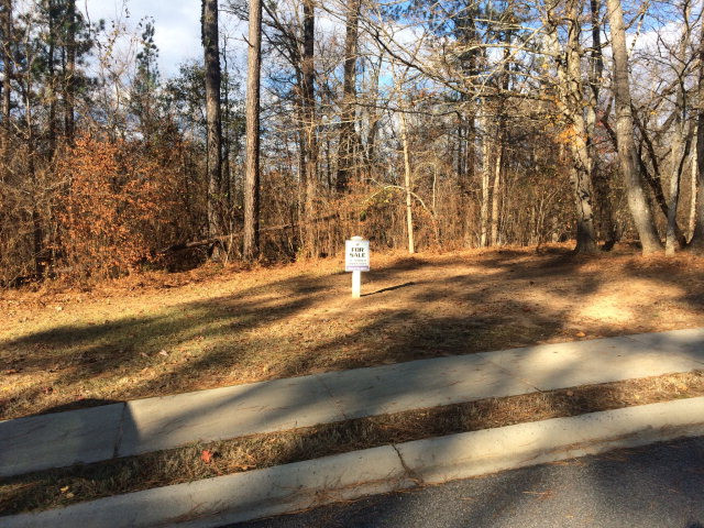 Lot R-16 Independent Hill Lane North Augusta, SC 29860 - Photo 1 of 1
