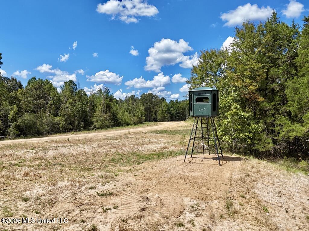 1 Chapel Hill Road Utica, MS 39175 - Photo 25 of 107 706C1E21-EDED-4FA2-B92C-40F34C1673A2_1_1