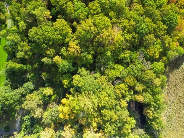 a view of a green field