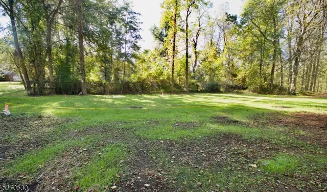 a big yard with lots of green space and trees