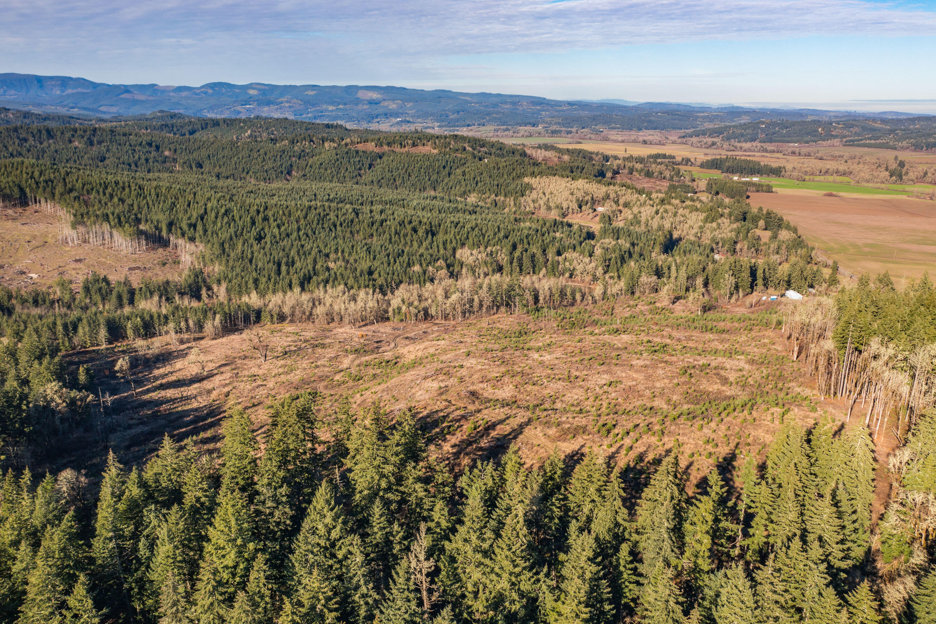 0 Airlie Road Monmouth, OR 97361 - Photo 3 of 33 Export-0882