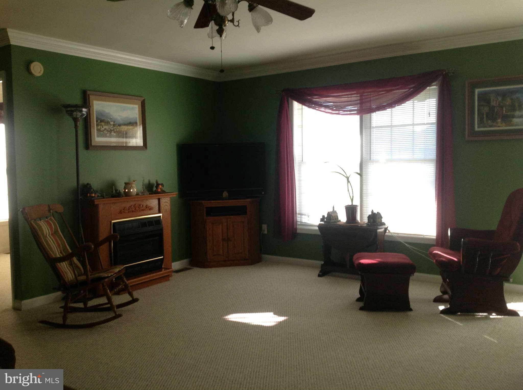186 Star Tannery Road Star Tannery, VA 22654 - Photo 8 of 19 Family Room