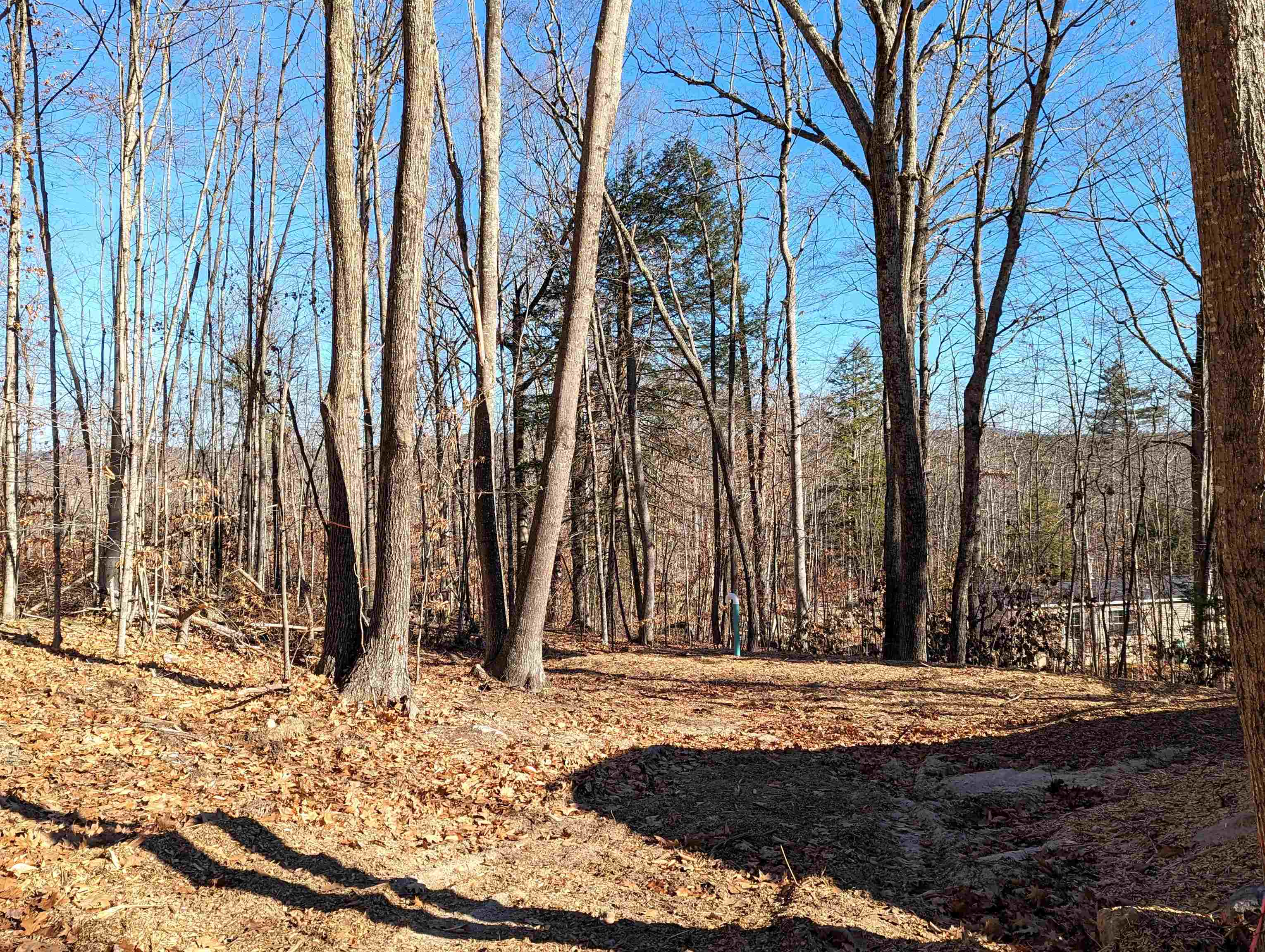 702 Browns Ridge Road Ossipee, NH 03864 - Photo 26 of 29 Gallery Image 26