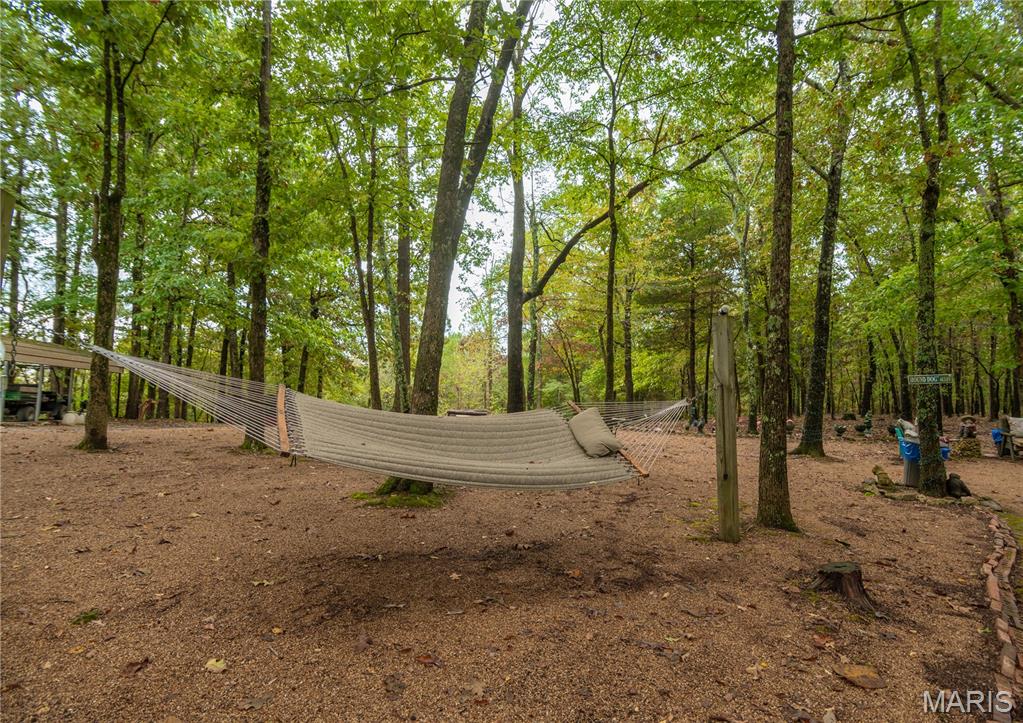 875 Ripley 142e-38 Naylor, MO 63953 - Photo 37 of 54