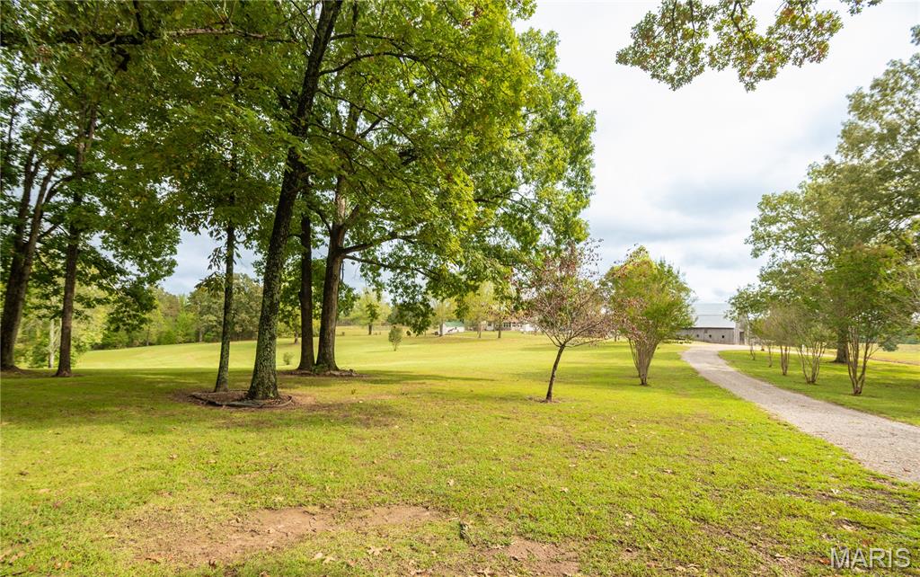 875 Ripley 142e-38 Naylor, MO 63953 - Photo 39 of 54
