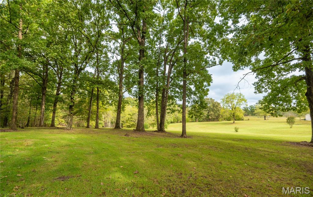 875 Ripley 142e-38 Naylor, MO 63953 - Photo 40 of 54