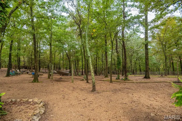 $515,000 | 875 Ripley 142e-38, Naylor, MO 63953