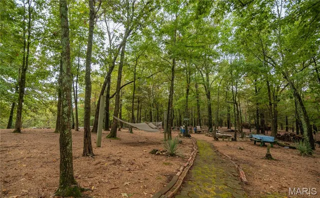 $515,000 | 875 Ripley 142e-38, Naylor, MO 63953