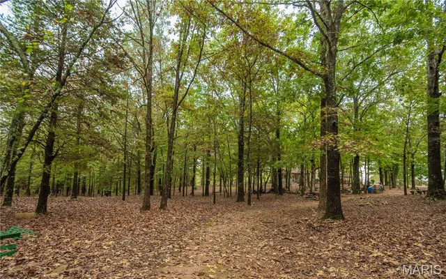 $515,000 | 875 Ripley 142e-38, Naylor, MO 63953