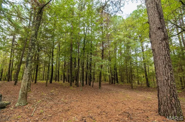 $515,000 | 875 Ripley 142e-38, Naylor, MO 63953