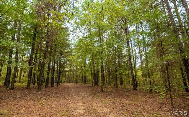 $515,000 | 875 Ripley 142e-38, Naylor, MO 63953