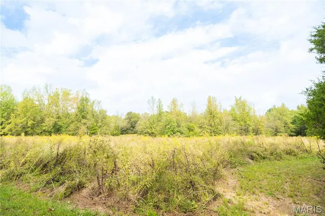 $515,000 | 875 Ripley 142e-38, Naylor, MO 63953