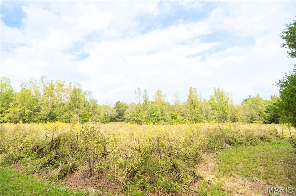 875 Ripley 142e-38 Naylor, MO 63953 - Photo 47 of 54